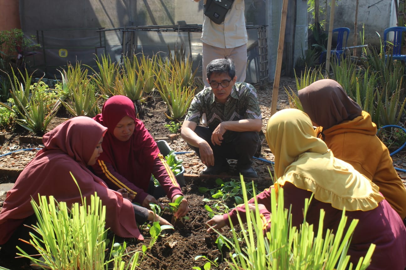 PRAKTIK LANGSUNG: Metode Urban Farming yang disosialisasikan dosen UWG