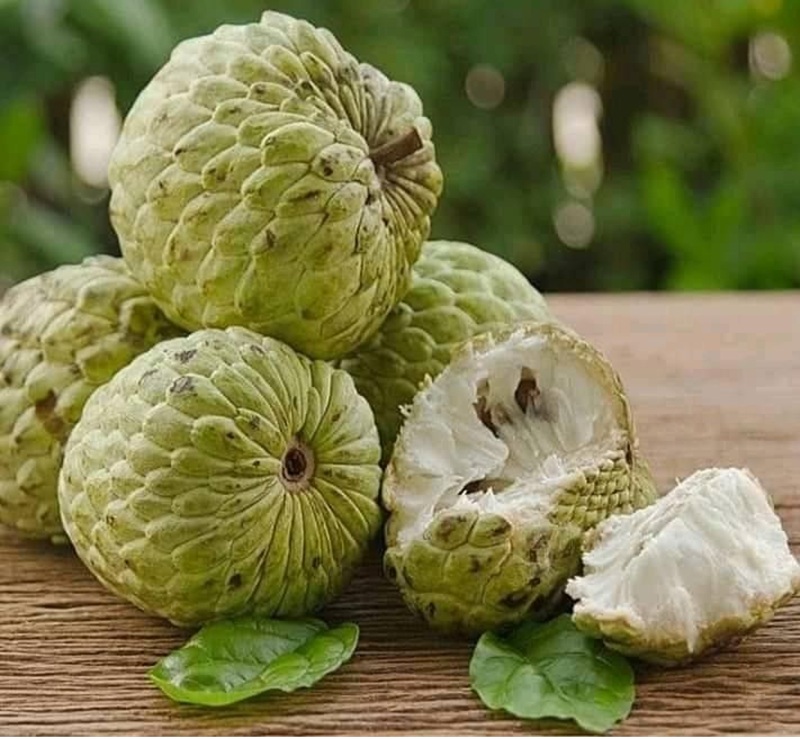 SEGAR: Buah srikaya tropis dengan daging lembut dan manis, cocok dinikmati sebagai camilan sehat untuk menyegarkan tubuh dan pikiran.