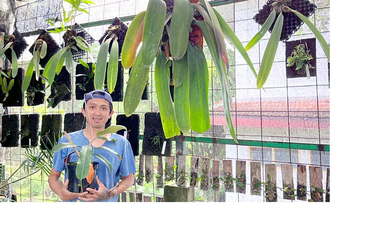 SEJAK 2020: Dhimas Galang Anngoro menunjukkan salah satu jenis tanaman karnivora di greenhouse-nya Jalan Lesti, Desa Pesanggrahan, Kota Batu, beberapa waktu lalu.