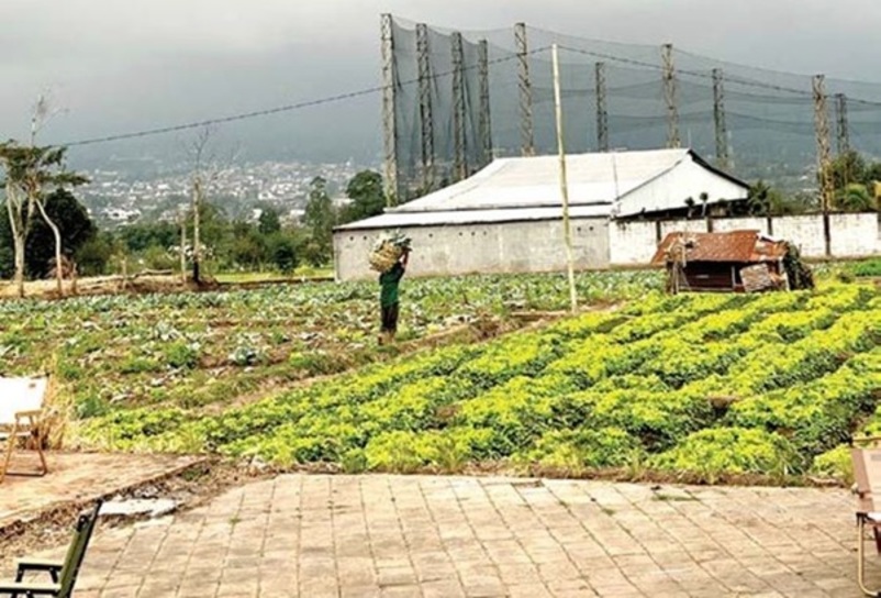 BAKAL DILENGKAPI LABORATORIUM: Petani di Desa Pesanggrahan, Kecamatan Batu mengangkat hasil panen beberapa waktu lalu.