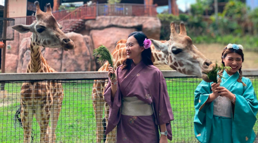 DESTINASI FAVORIT: Dua wisatawan asing berinteraksi dengan jerapah di Batu Secret Zoo Jawa Timur Park 2 beberapa waktu lalu.