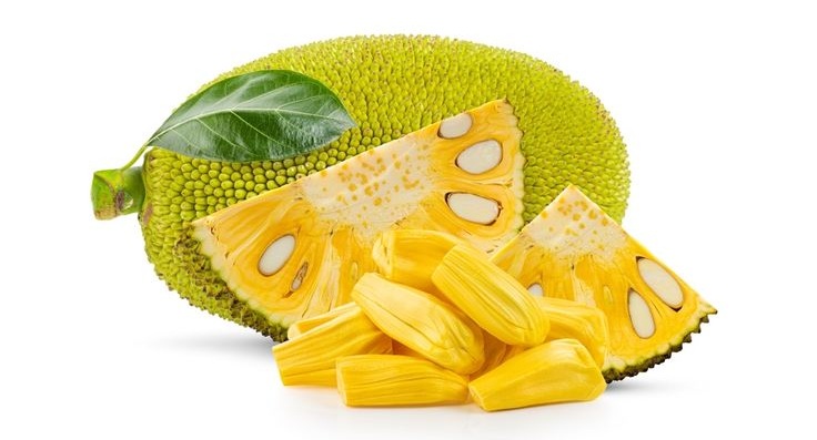 Ilustrasi buah nangka