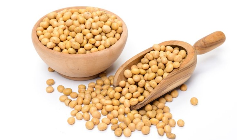 BERNUTRISI: Biji kedelai segar sebagai sumber protein nabati yang kaya manfaat bagi tubuh.