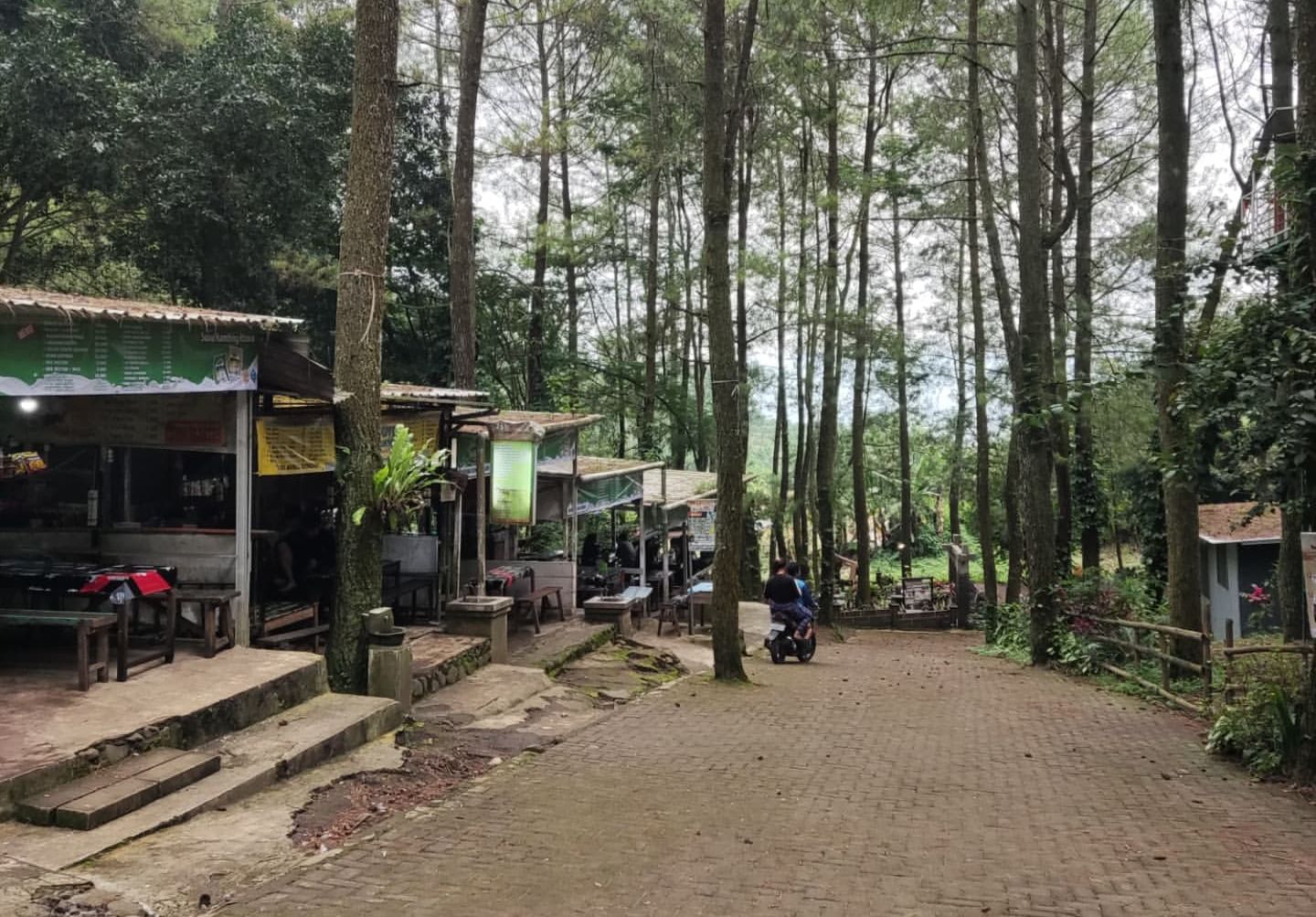 ASRI: Suasana di Bedengan, Dau yang cocok dijadikan tempat piknik untuk menghabiskan akhir pekan.