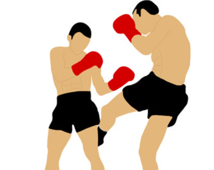 Ilustrasi Kickboxing