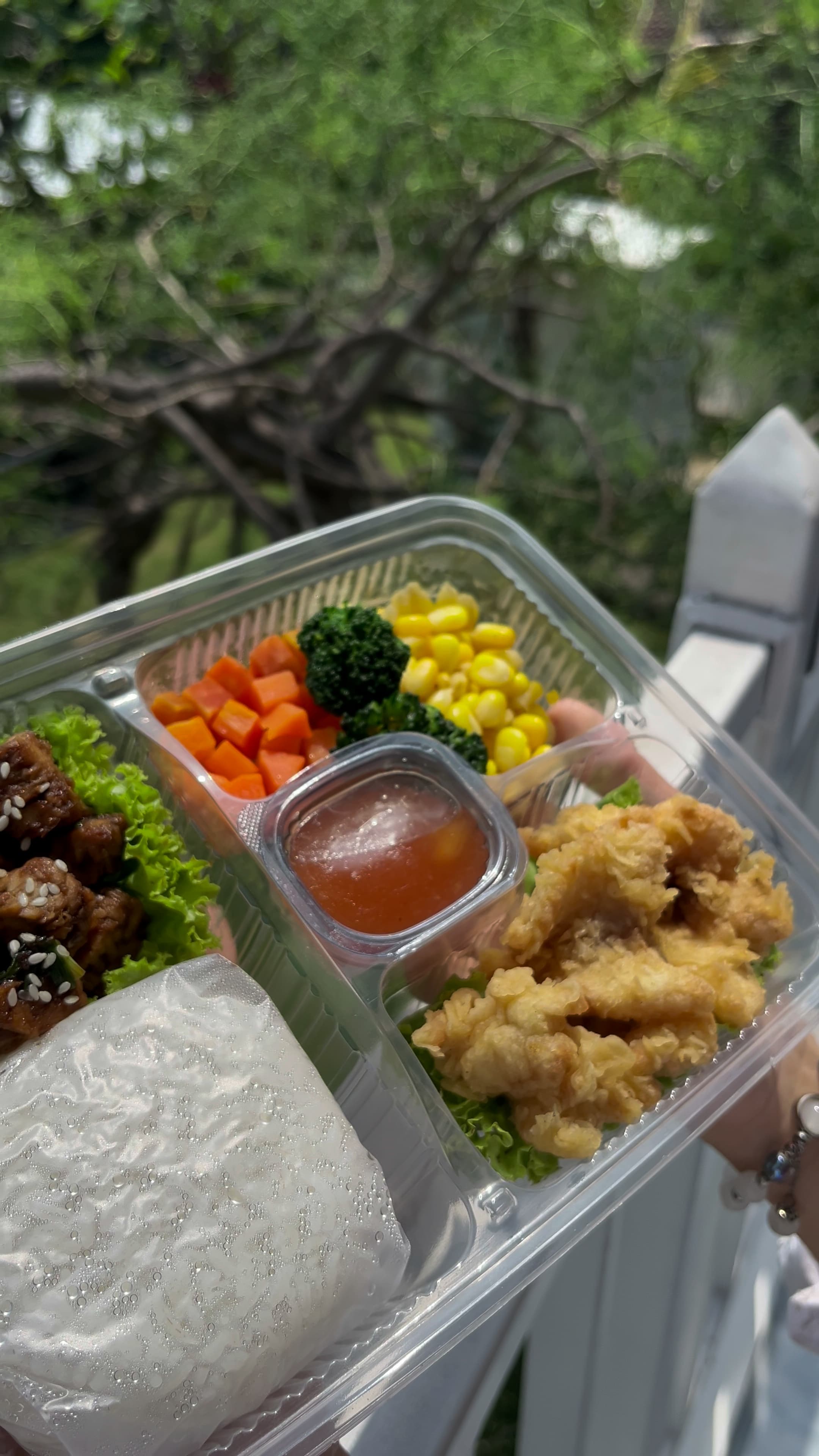 LENGKAP: Salah satu menu "Nutrikids" hasil kolaborasi Hanania Kidz Clinic dengan Dietindo.