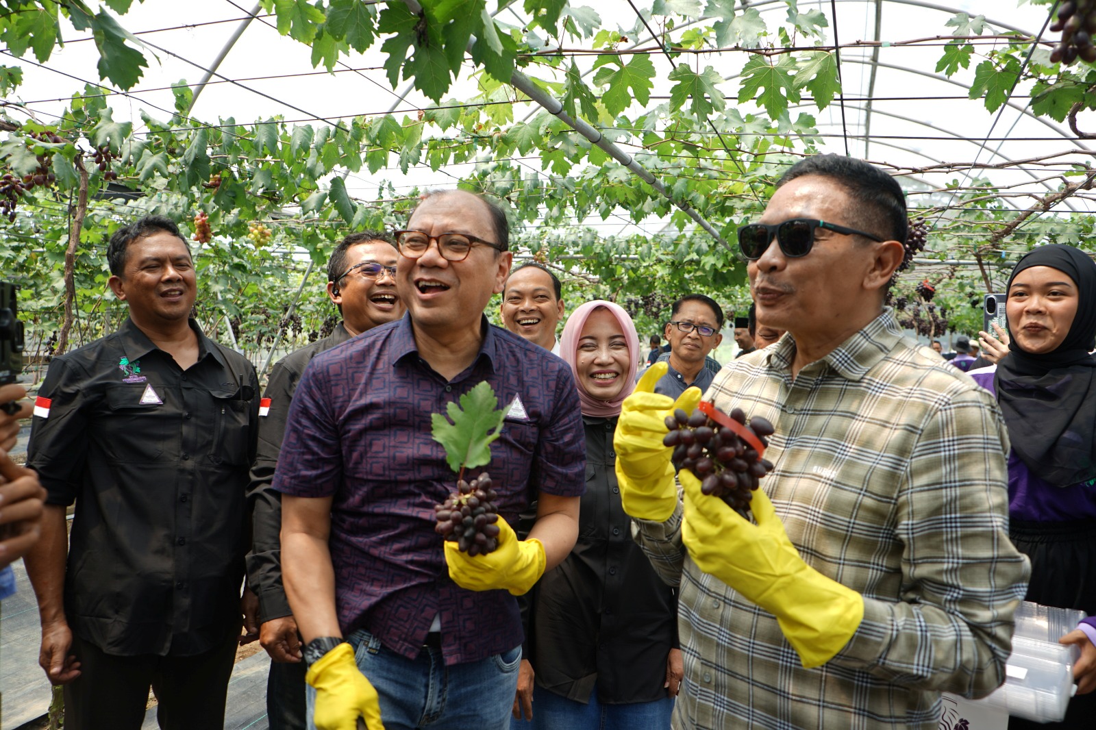 DATANG LANGSUNG: Wali Kota Malang, Wahyu Hidayat dalam Grand Opening Wisata Petik Anggur dan Edukasi Budidaya Anggur serta Lelang Amal.