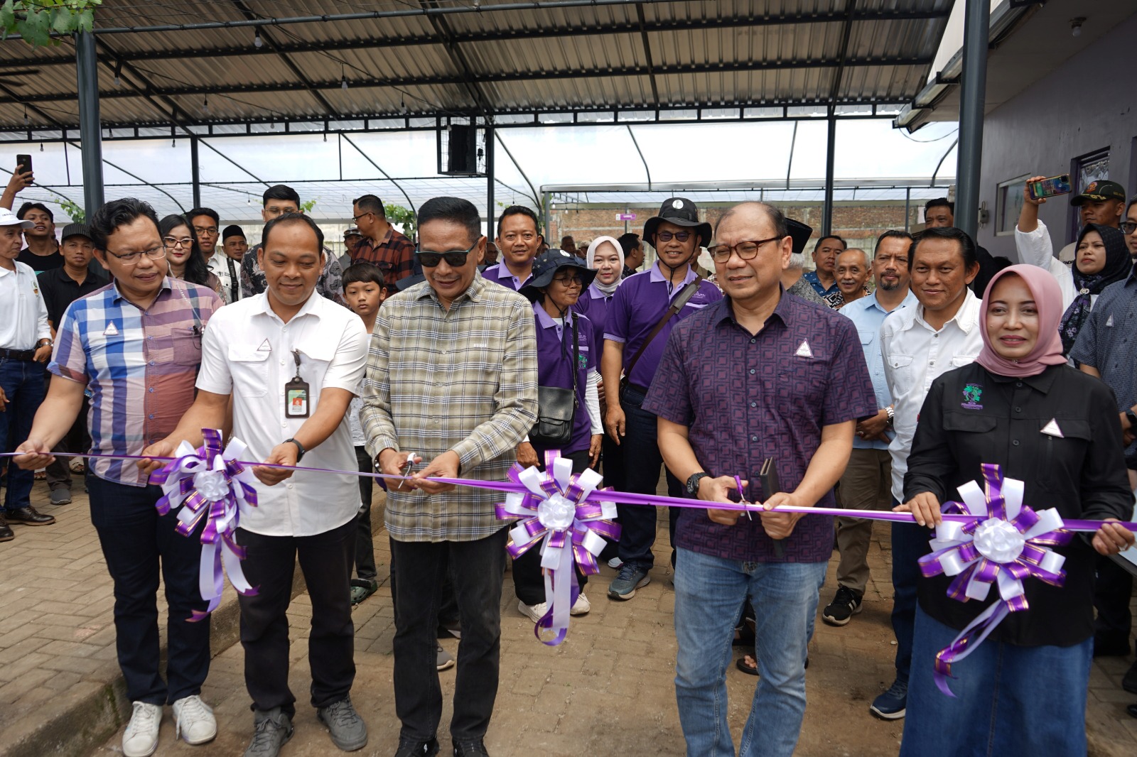 DIBUKA: Bertempat di Kampus II Polbangtan Malang dilaksanakan Grand Opening Wisata Petik Anggur dan Edukasi Budidaya Anggur serta Lelang Amal.