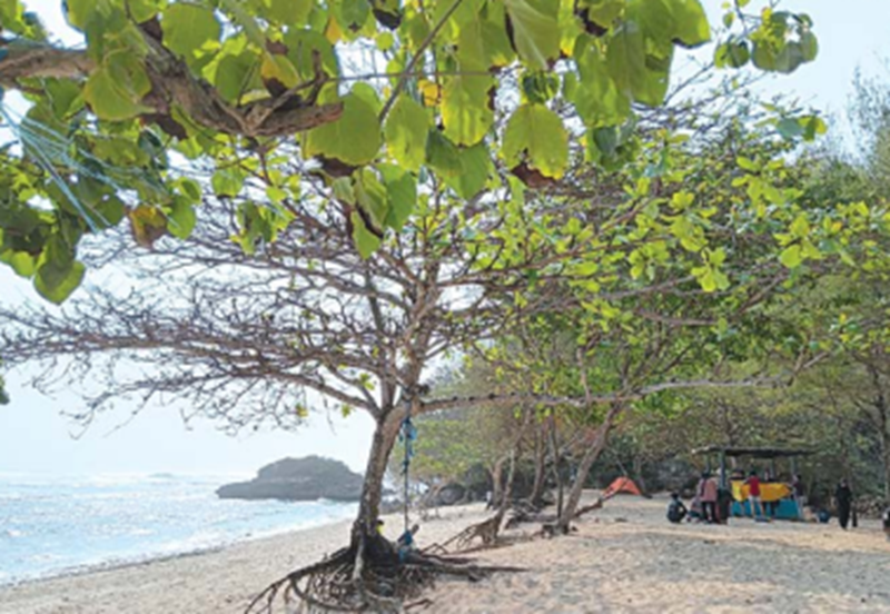 YANG TERSISA: Pantai Watu Leter di Desa Sitiarjo, Kecamatan Sumbermanjing Wetan menjadi salah satu titik blank spot di Kabupaten Malang.