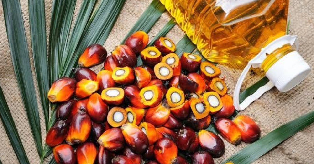 SAWIT: Temukan fakta unik kelapa sawit