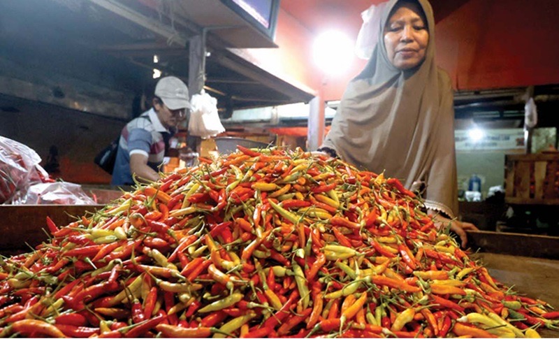 HARGA CABAI MEROKET: Seorang pedagang di Pasar Gadang memilah cabai rawit kemarin siang. Harga cabai sejak awal Desember sudah menunjukkan tren naik.