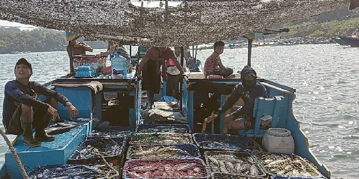 TERIMBAS ATURAN PUSAT: Salah satu kapal nelayan hendak mendarat di pelabuhan ikan Sendangbiru, beberapa waktu lalu. Capaian retribusi dari nelayan masih jauh dari target.