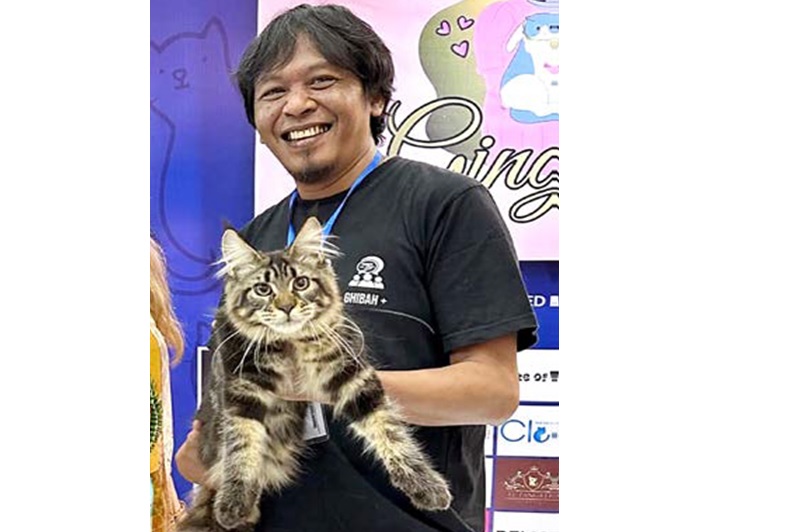 KOMITMEN: Tatang Adi Bintoro (kanan) menggendong Annie menerima juara dua International Cat Show National Winner 2025 di Bali pada Oktober lalu. Foto kiri, Angelo, kucing jenis ragdoll milik Atang