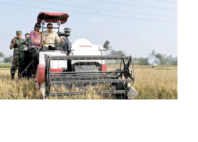 COBA LANGSUNG: Wali Kota Malang Wahyu Hidayat memanen padi dengan combine harvester bantuan dari Kementerian Pertanian milik lahan kelompok tani di Kedungkandang.