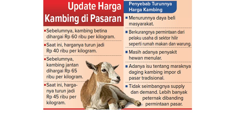 Update Harga Kambing di Pasaran