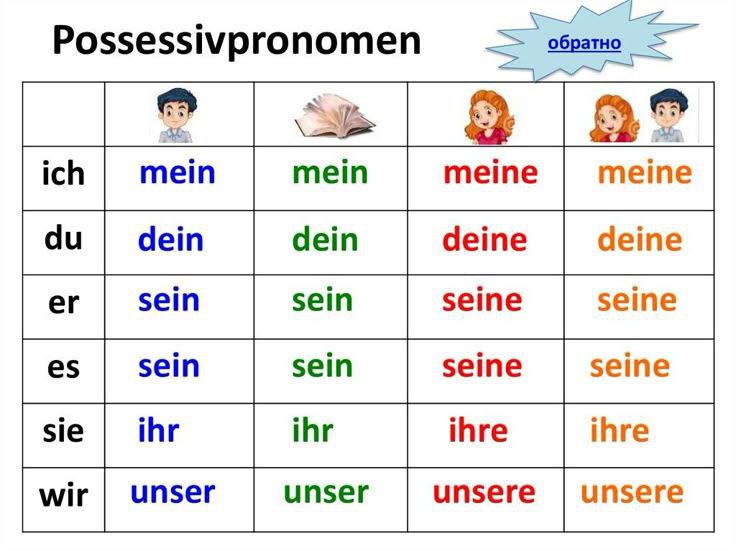 Tabel possesivpronomen atau artikel kepemilikan dalam bahasa Jerman.