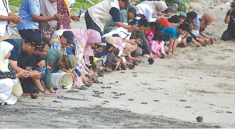 ANTUSIAS: Puluhan peserta pelepasan tukik memenuhi Pantai Bajulmati, di Desa Gajahrejo, Kecamatan Gedangan, Sabtu lalu (27/12).