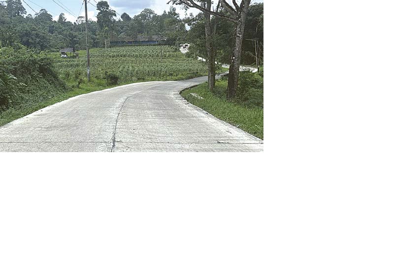 MULUS: Perbaikan ruas Jalan Selorejo-Krisik, Kecamatan Ngantang rampung pada 2025 lalu. Pemkab Malang menggelontor dana Rp 22,9 miliar untuk 39 proyek pembangunan jalan dan jembatan.