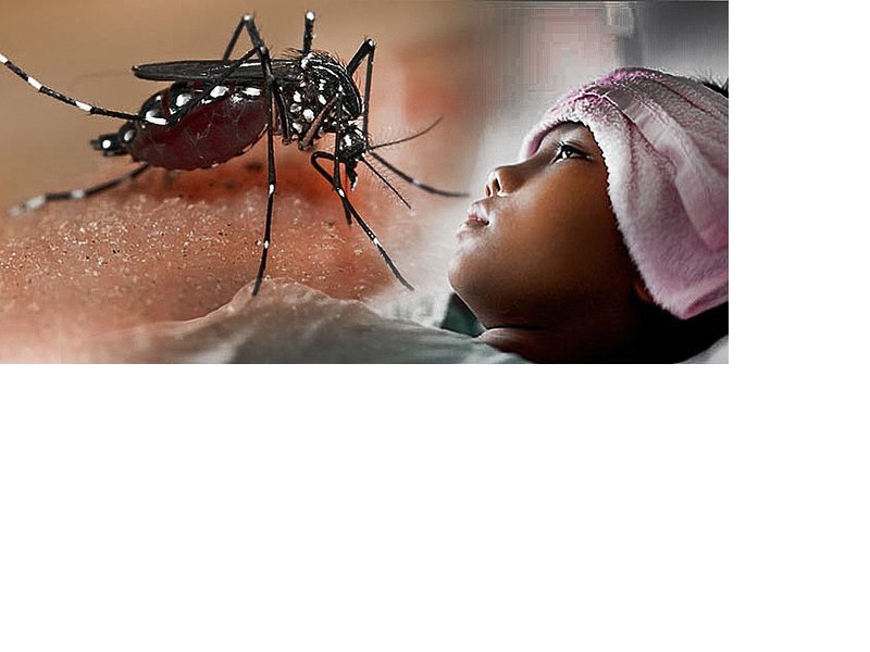 Ilustrasi Demam Berdarah Dengue