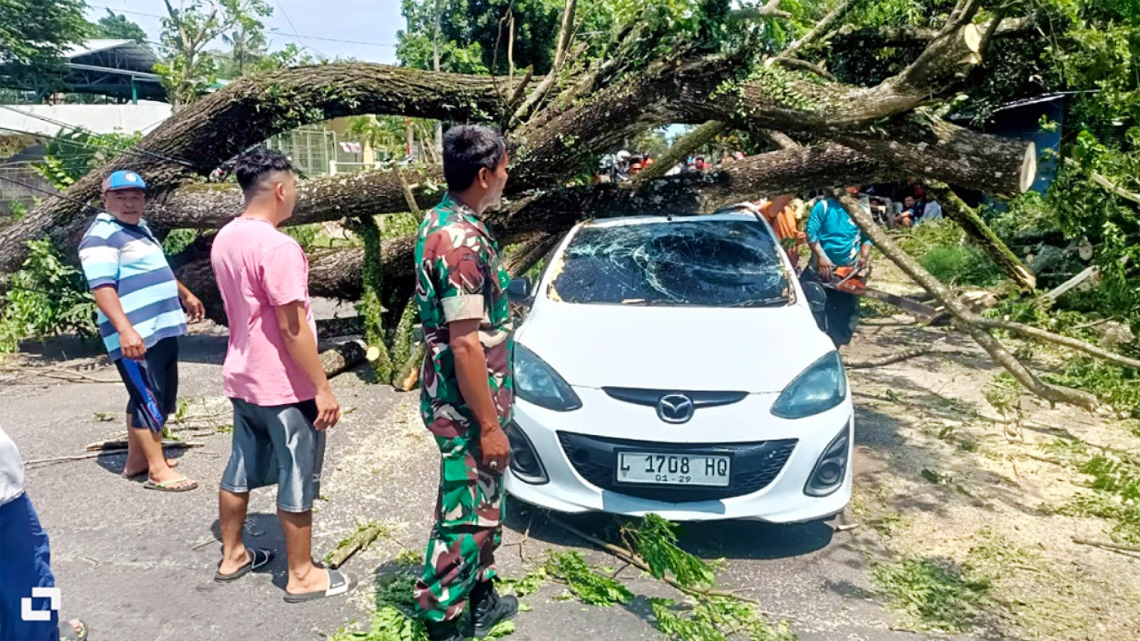 TERDAMPAK: Mobil Mazda 2 bernopol L 1708 HQ tertimpa pohon yang tumbang di Desa Kuwolu, Kecamatan Bululawang, kemarin siang. (Nur Cholis for Radar Malang)