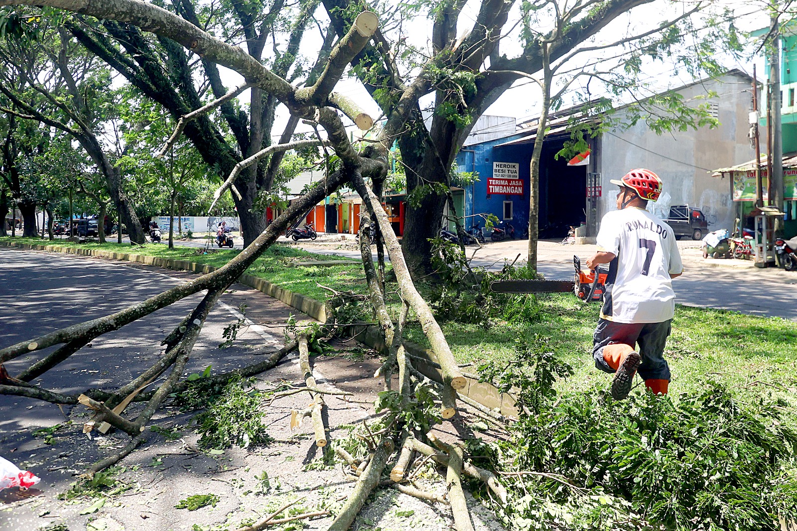 BAHU MEMBAHU: Petugas BPBD dibantu warga mengevakuasi cabang pohon trembesi yang patah di Jalan Rajasa, Kedungkandang, kemarin.&nbsp;&nbsp;(Darmono/Radar Malang)