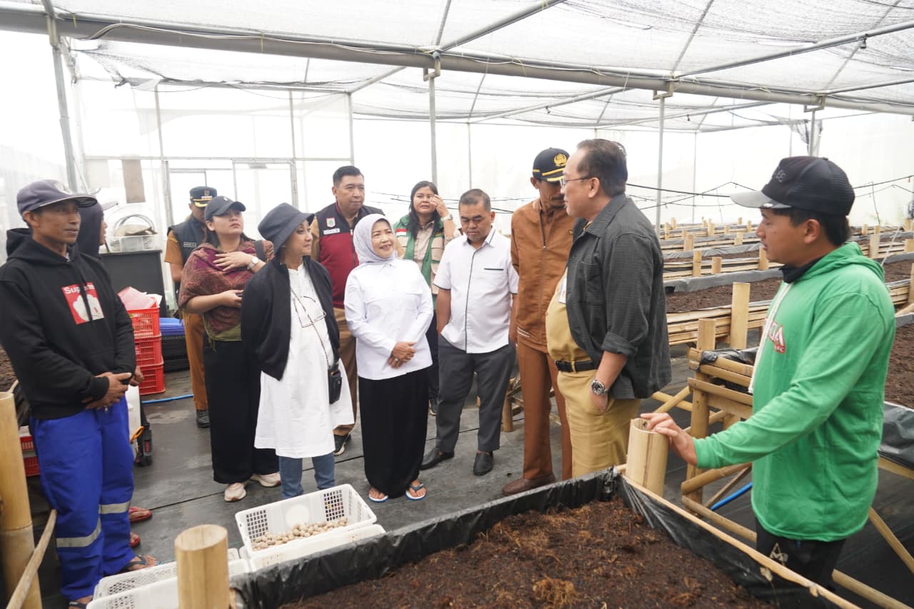 DAERAH POTENSIAL: Wakil Bupati Malang Lathifah Shohib (tengah) bersama Ketua Tim Investasi Dirjen Kemendes-PDTT RI Ninik mengunjungi screen house kentang yang terletak di Dusun Jarak Ijo, Desa Ngadas,