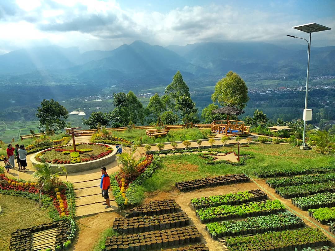 PEMANDANGAN: Suasana di kawasan wisata Bukit Nirwana yang penuh dengan kebun bunga yang indah. (matic.malangkab.go.id)