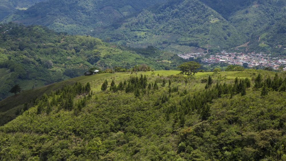 TREK PEMULA: Perbukitan di Malang Raya yang cocok bagi para wisatawan pemula yang ingin belajar mendaki. (Freepik)