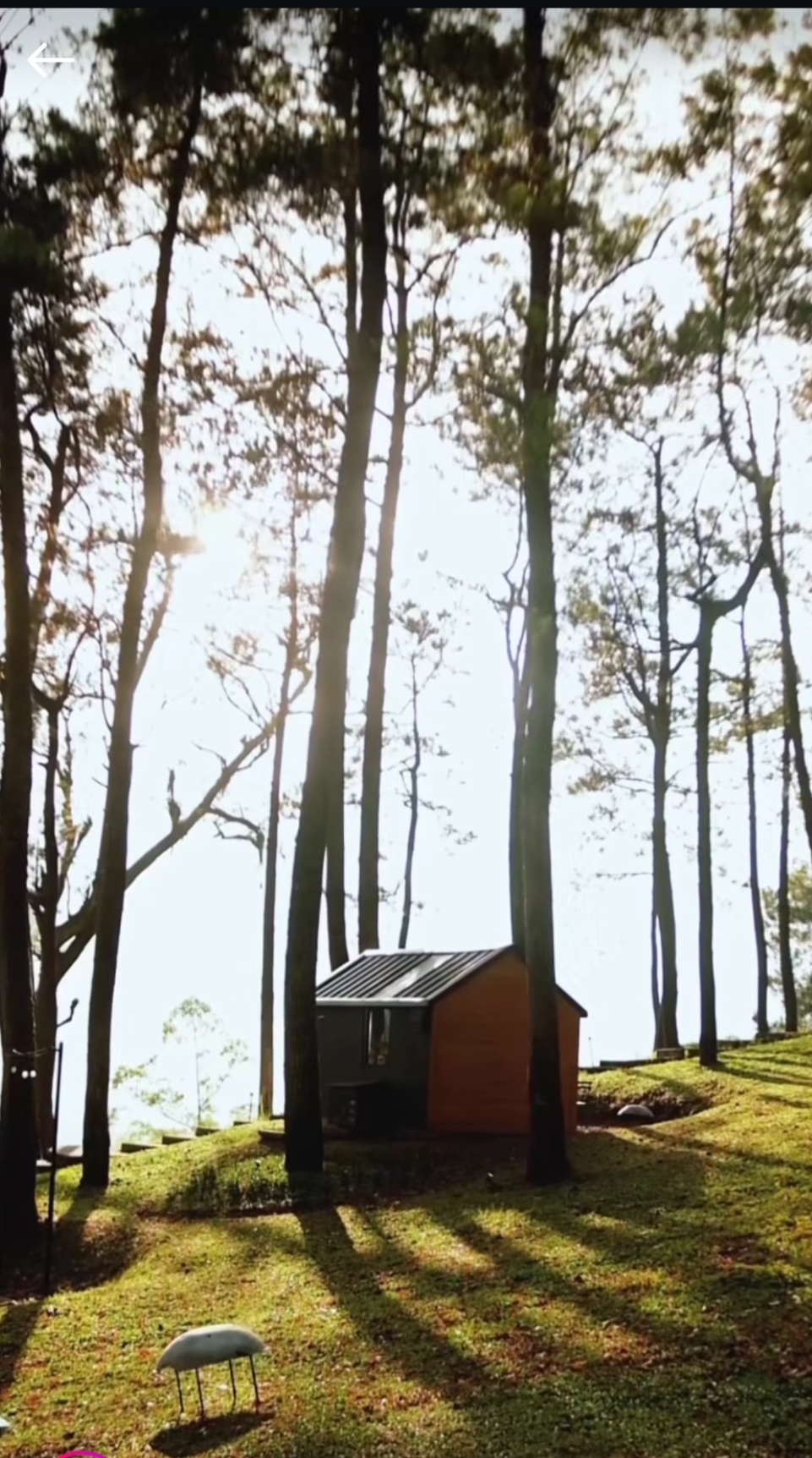 Lelah dengan rutinitas sehari-hari, Bobocabin Coban Rondo hadir menawarkan sensasi glamping modern dengan panorama sunrise, city light, hingga udara sejuk khas pegunungan. (Instagram @bobocabin)