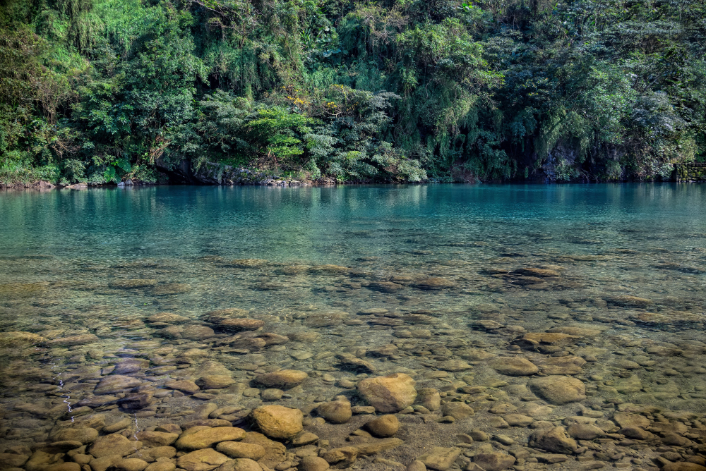 Pemandangan pepohonan rindang dan sungai yang jernih dapat melepas penat setelah seharian bekerja. (freepik/wirestock)