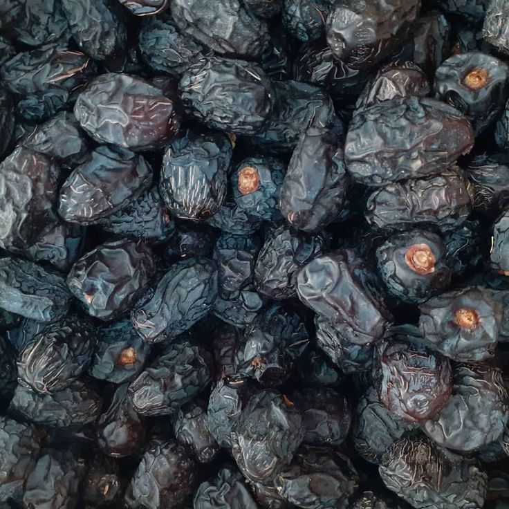 Potret Kurma Ajwa dengan ciri khas warna yang hitam pekat. (Pinterest)