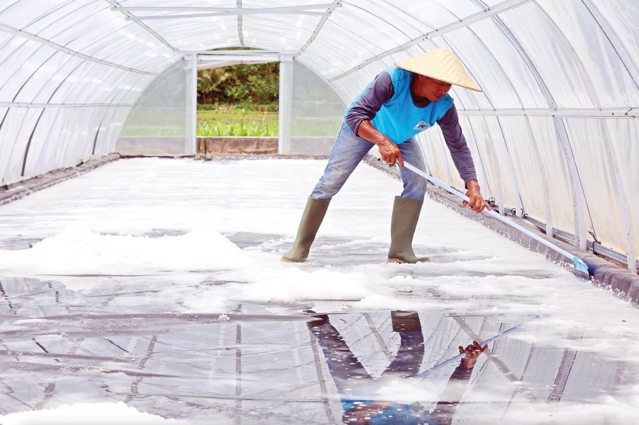TINGKATKAN KUALITAS: Seorang pekerja memanen garam yang diproduksi menggunakan sistem tunnel di Malang selatan beberapa waktu lalu. (DARMONO/ RADAR MALANG)