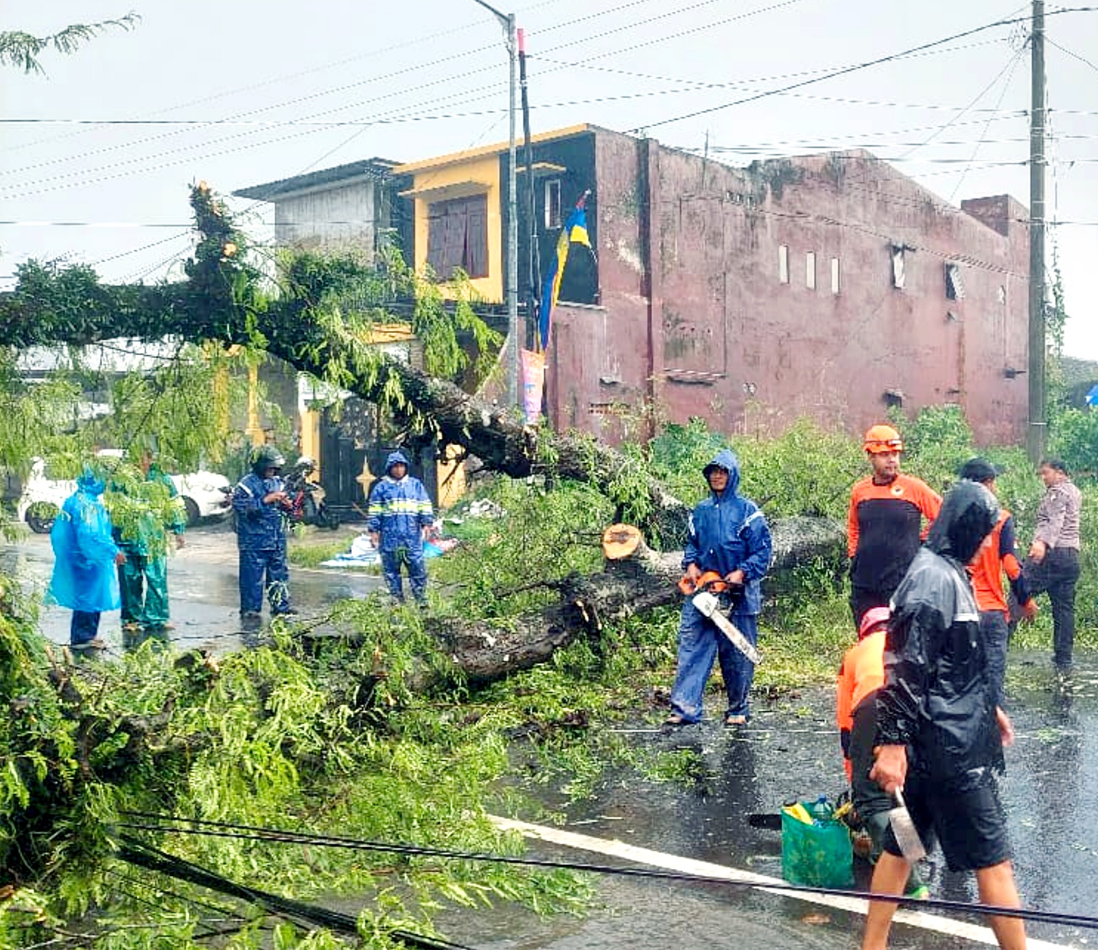LANGSUNG DIEVAKUASI: Pohon di Jalan Raya Kecamatan Pakis tumbang dan sempat menutup akses, kemarin (31/1) sekitar pukul 14.00. BPBD Kabupaten Malang For Radar Malang.