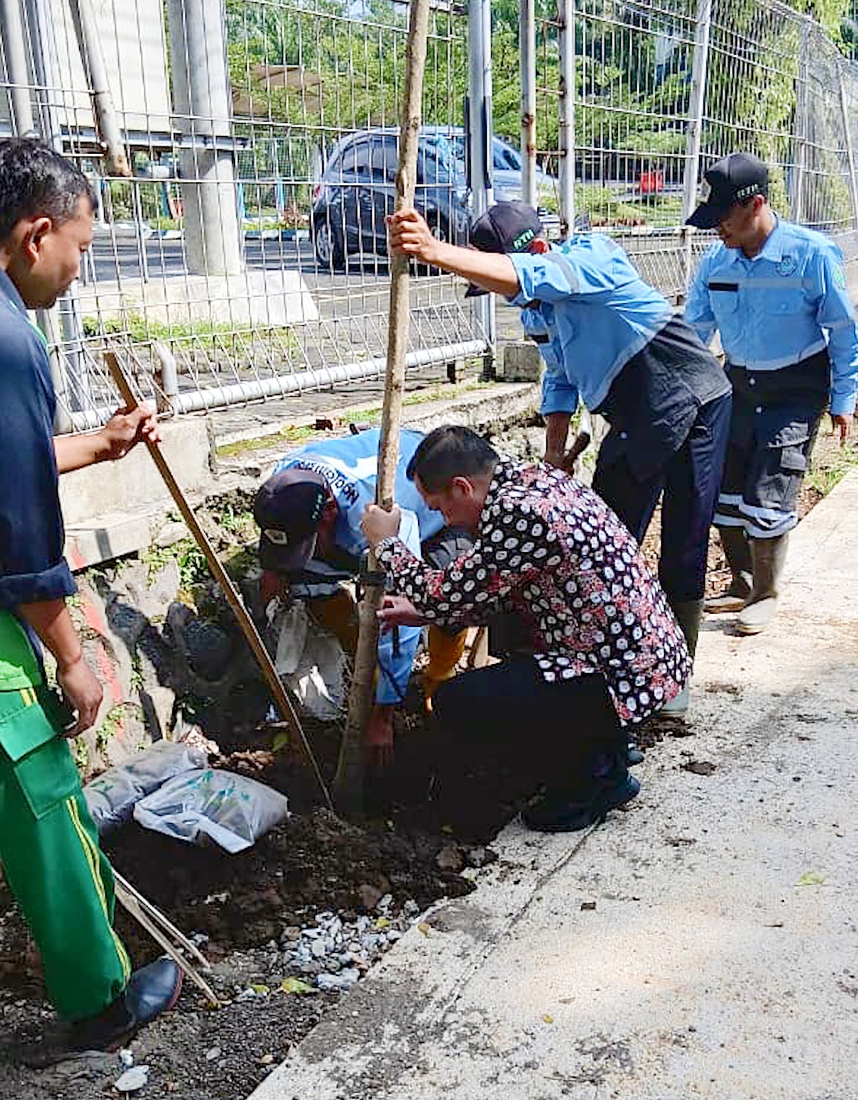 BERTAHAP: Penanaman bibit pohon tabebuya mulai dilakukan Dinas Lingkungan Hidup (DLH) Kota Malang pada Jumat lalu (30/1). DLH Kota Malang For Radar Malang.