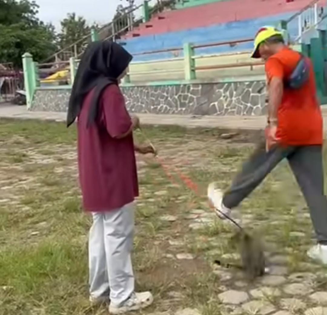 Seorang pria menendang kucing hingga mati. (Instagram @faridaarz)