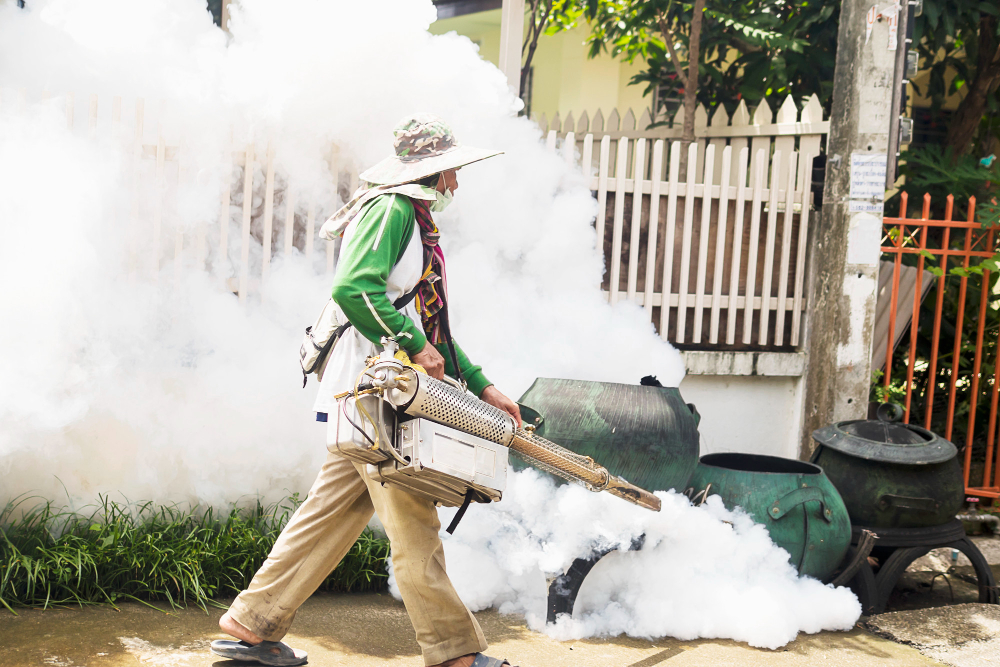 FOGGING: Berantas nyamuk, berantas rantai penularan demam berdarah. (Freepik)