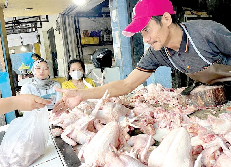 STOK AMAN: Pedagang ayam potong di Pasar Mergan melayani pembeli kemarin. Harga daging ayam yang turun pada Januari lalu mendorong deflasi.