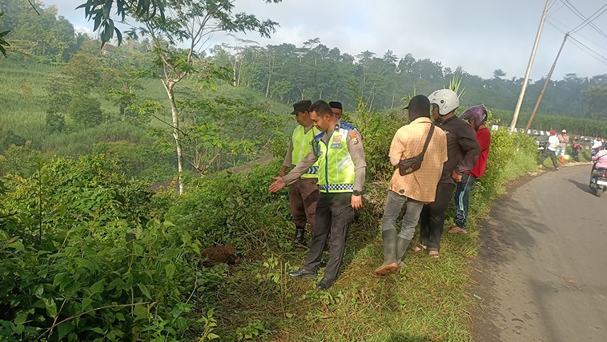 NAHAS: Polisi bersama warga mengecek pikap yang terjatuh di jurang Jalan Raya Desa Sumberejo, Kecamatan Pagak, kemarin pagi.