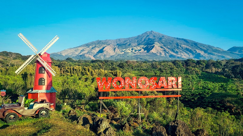 Agrowisata Kebun Teh Wonosari Bakal Tambah Spot Foto dan Wahana Ramah Keluarga