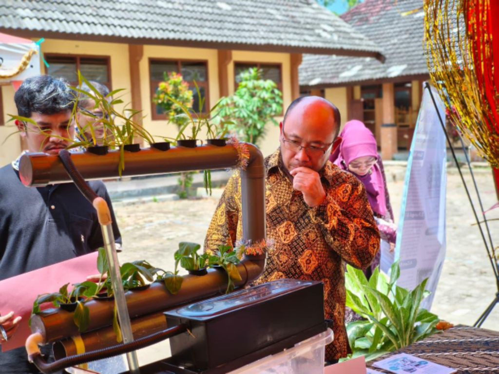 CEK LANGSUNG: Pengembangan sistem aquaponik di sekolah.