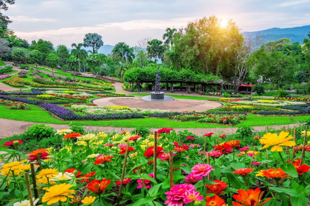 Illustrasi kebun bunga. (Freepik)