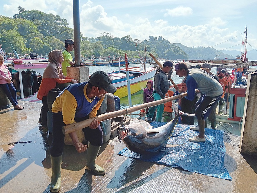 TARGETNYA MENINGKAT: Sejumlah warga berusaha memindahkan ikan tuna dari perahu nelayan ke TPI Sendangbiru, beberapa waktu lalu. Sepanjang tahun lalu, pemkab mencatat ada 28.542 ton hasil perikanan tan