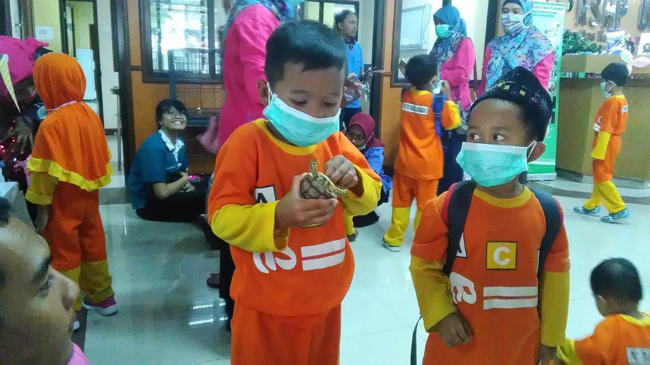 LANGSUNG PEGANG: Pengenalan kura-kura pada siswa TK.