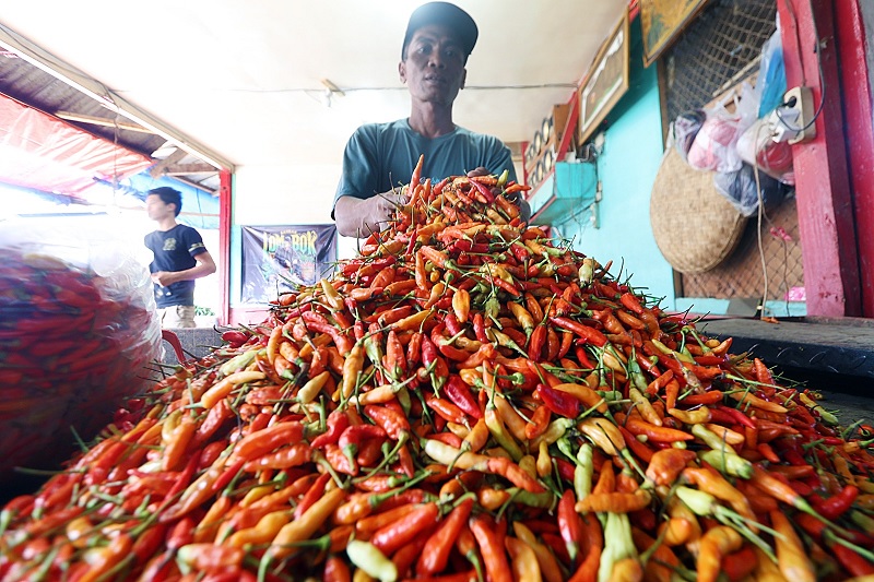 PASOKAN STABIL: Pedagang di Pasar Induk Gadang (PIG) menyortir cabai sebelum dikirim ke pembeli kemarin (23/2). Setelah sempat naik, kini harganya mulai turun.