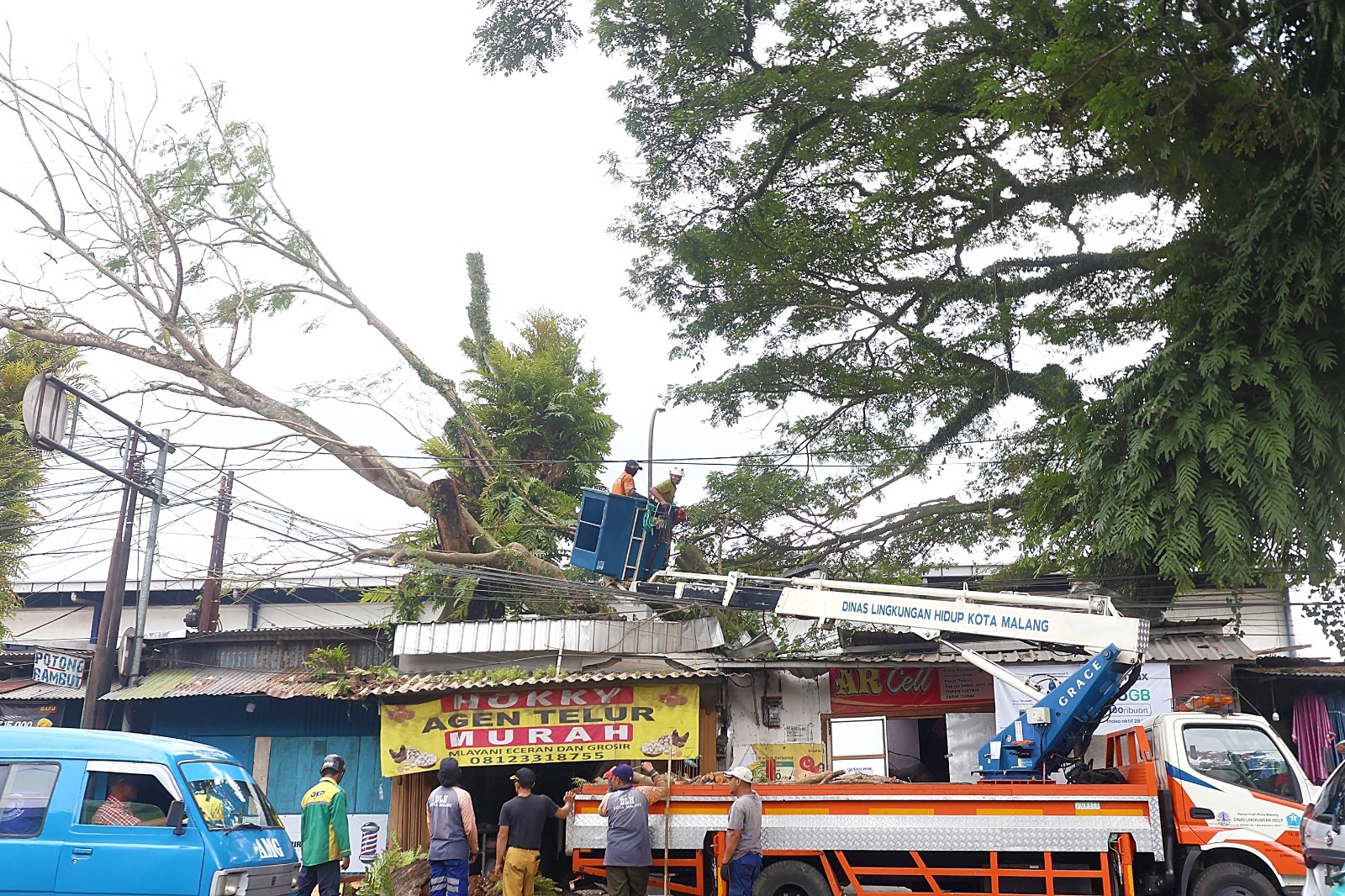 GERAK CEPAT: Personel DLH Kota Malang menggunakan mobil skylift untuk mengevakuasi pohon yang tumbang.