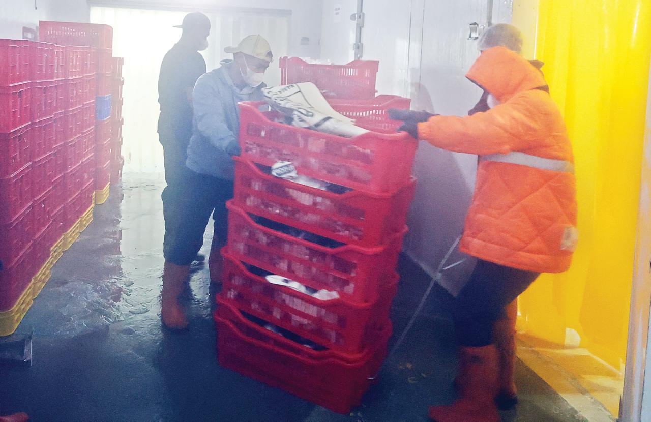 MAKSIMALKAN ASET: Para pekerja memasukkan komoditas untuk disimpan di cold storage milik Perumda Tunas kemarin (25/2)