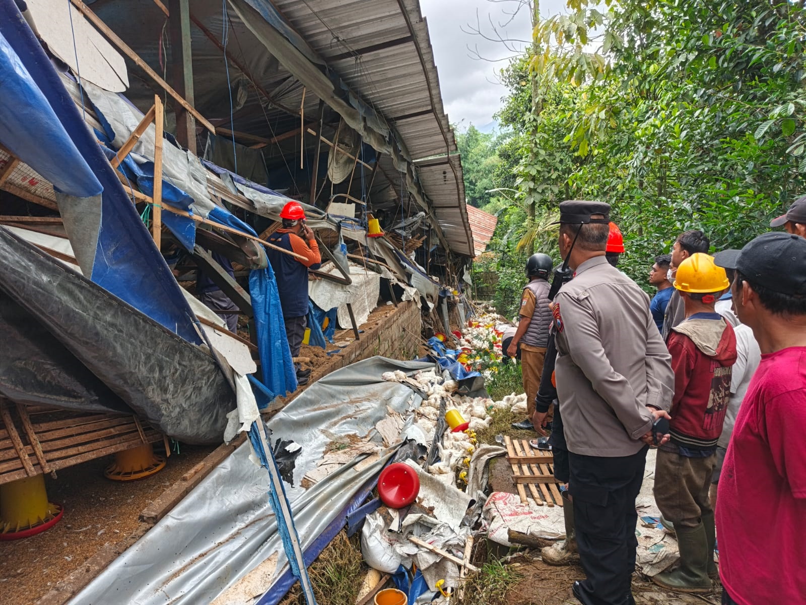 PERIKSA SAKSI-SAKSI: Satreskrim Polres Malang kini mendalami kasus ambruknya kandang ayam di Dusun Pijiombo, Desa Wonosari, Kecamatan Wonosari.   