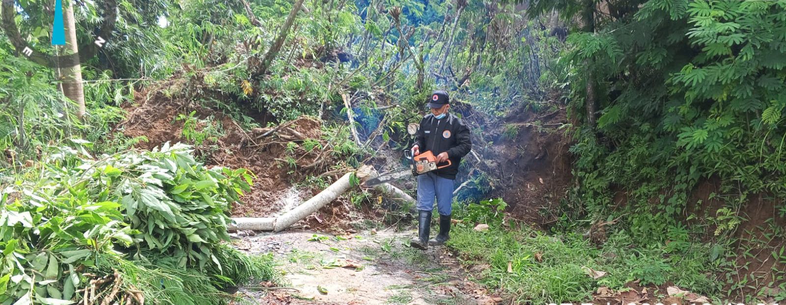 BPBD KERAHKAN ALAT BERAT: Tebing setinggi 25 meter di Desa Tamansari, Kecamatan Ampelgading longsor kemarin siang sekitar pukul 10.30. (BPBD Kabupaten Malang for Radar Kanjuruhan)