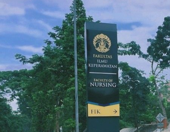 10 Jurusan Keperawatan Terbaik di Indonesia Versi EduRank 2025 Mulai dari UI-Udayana. (Pinterest @phyk13579)