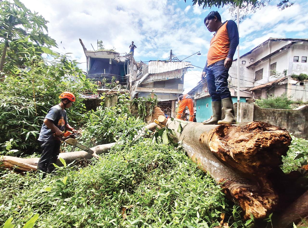 TERSAPU ANGIN: Evakuasi pohon beringin yang tumbang di Jalan Muharto, Kelurahan Kotalama, Kedungkandang memakan waktu beberapa jam, kemarin.